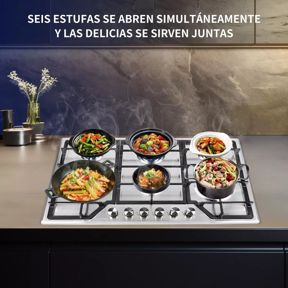 Parrilla A Gas Estufas Acero Inoxidable 6 Quemadores Lp Gas