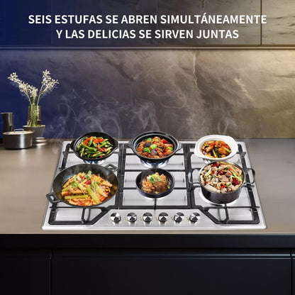 Parrilla A Gas Estufas Acero Inoxidable 6 Quemadores Lp Gas